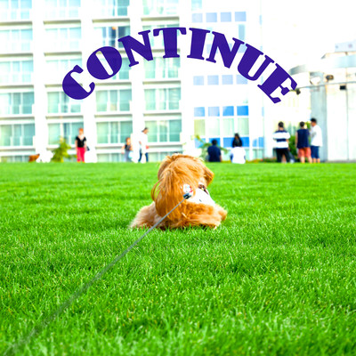 CONTINUE