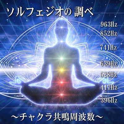 Solfeggio frequency Voice ~ Chakra Resonance ~