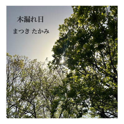 Sunlight filtering through leaves