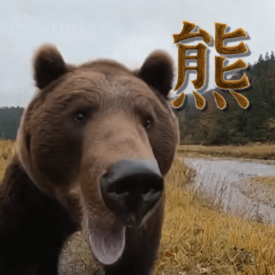 kuma