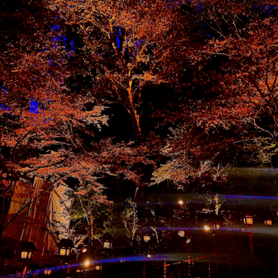 Seasonal Transition Freestyle (feat. NEOM & yellj)