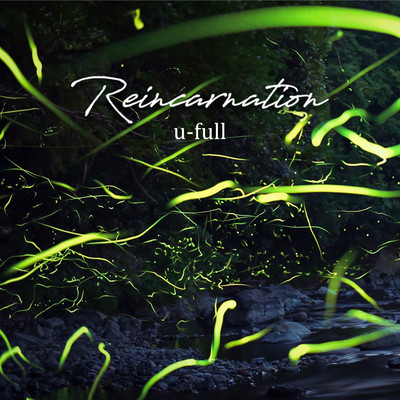 Reincarnation