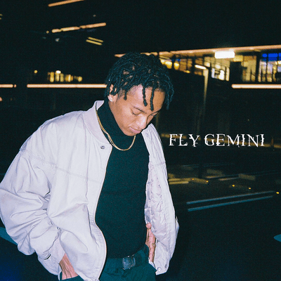 FLY GEMINI