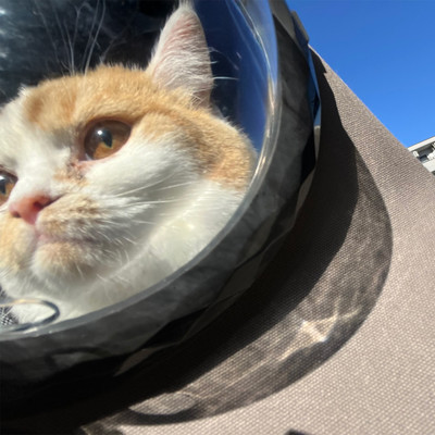 Astronaut