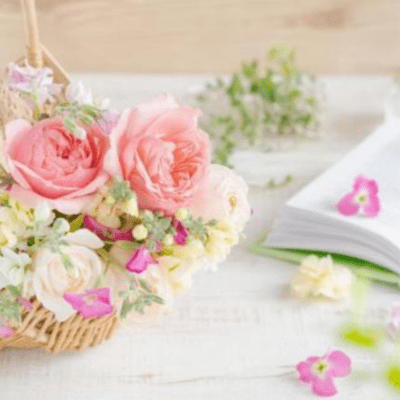 Play of fairies Vol.2