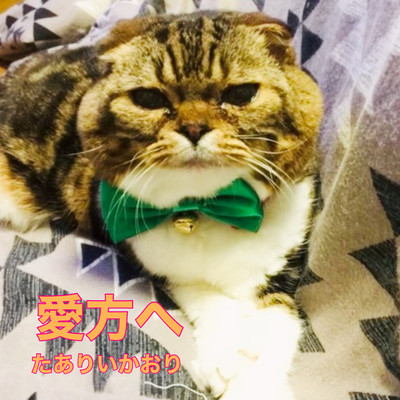 To you