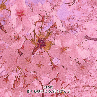 sakura saku koro /arigato