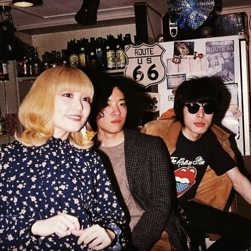 exotic sham munchkins