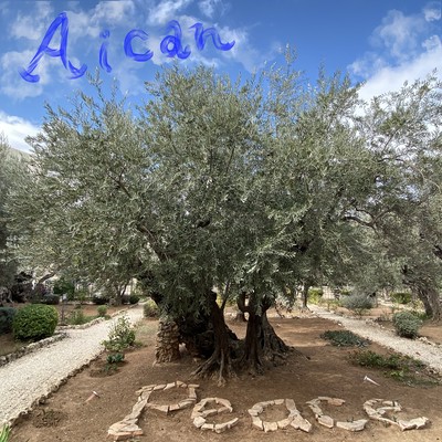 Peace