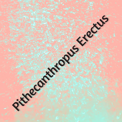 Pithecanthropus Erectus