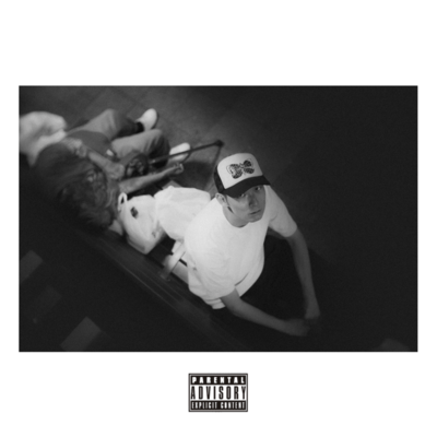 Elephant In The Room