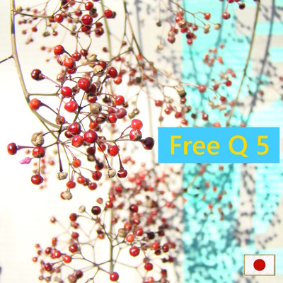 Free Q 5