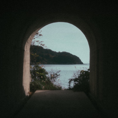 In your empty garden