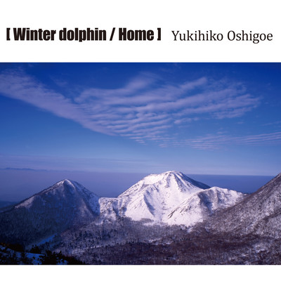 Winter dolphin / Home