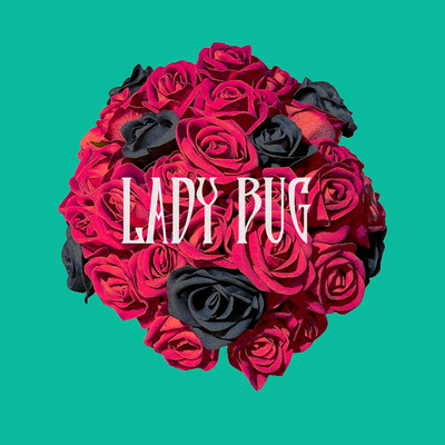 LADY BUG