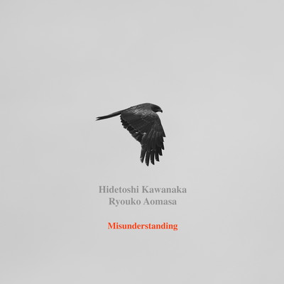 Misunderstanding (Instrumental)