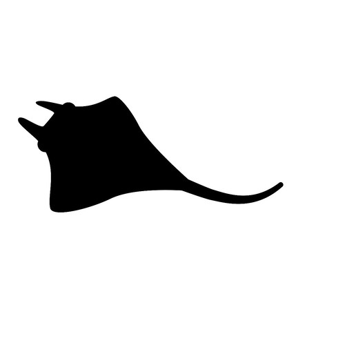 divængler