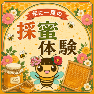 Annual honey harvesting experience