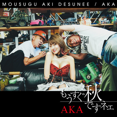 MOUSUGU AKI DESUNEE