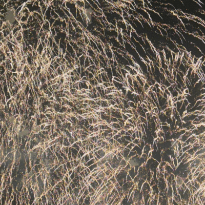 kokorokara