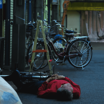 Flowers blooming at midnight