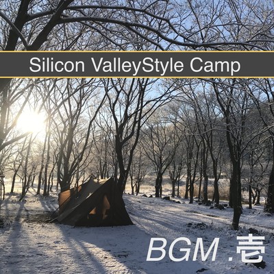 Silicon Valley-Style Camp BGM01