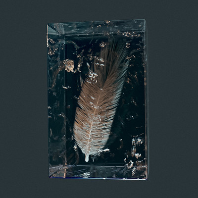 crow