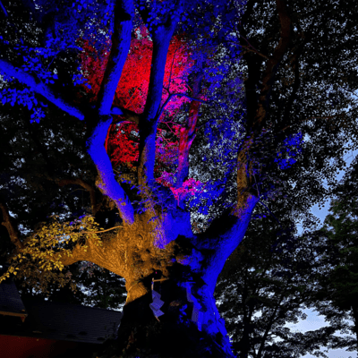 YATAGARASU -MICHIBIKI