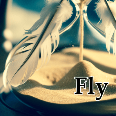 Fly