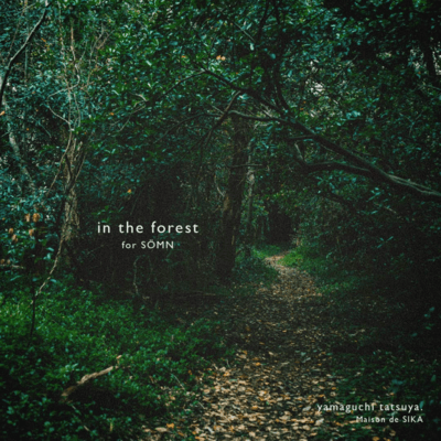 in the forest -for SÖMN-