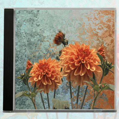 Slow Living with Relaxing Piano