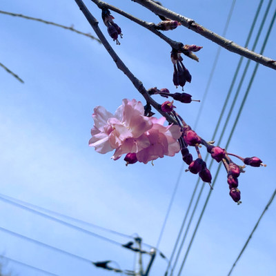 Write it down and prove it