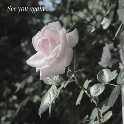 See you again