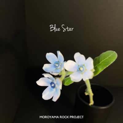 Blue Star
