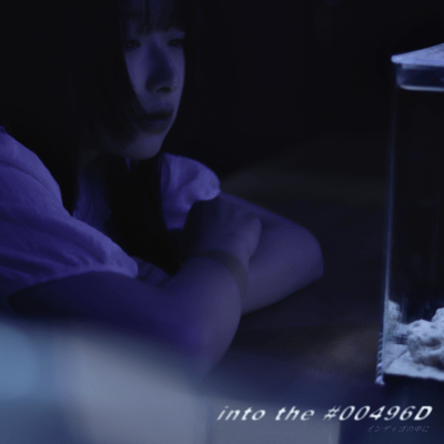 into the #00496D