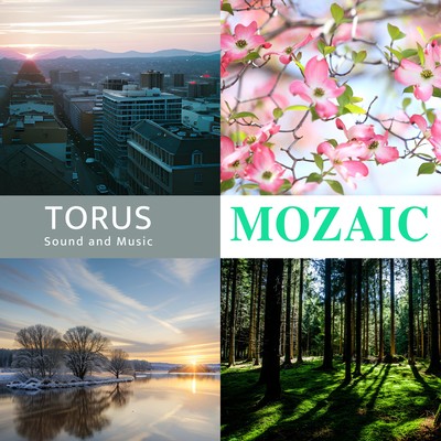 MOZAIC