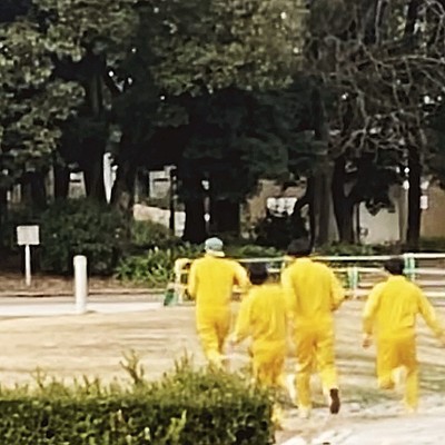 Let's go on a picnic