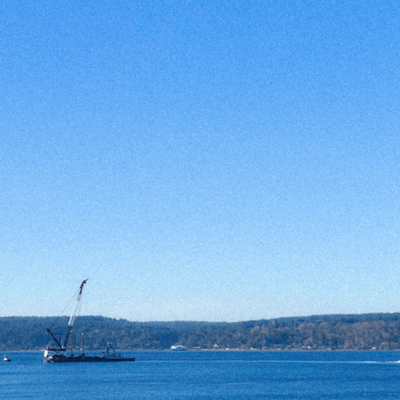 Sail In