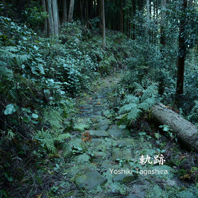 Trail