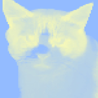 taro