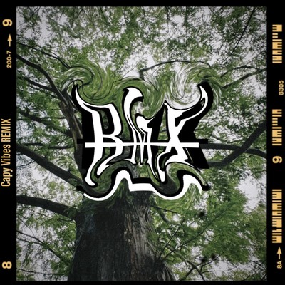 desire/night flight (Capy Vibes RMX)