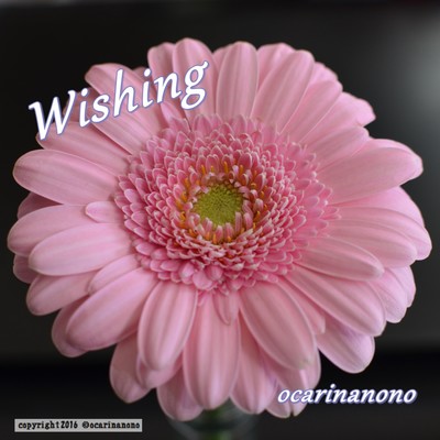 Wishing