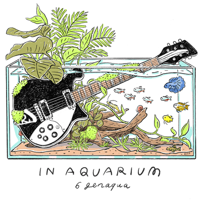 IN AQUARIUM