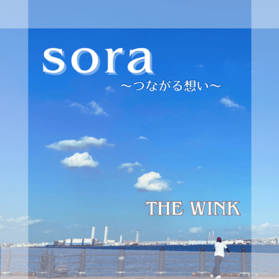 Sora ~connected thoughts~