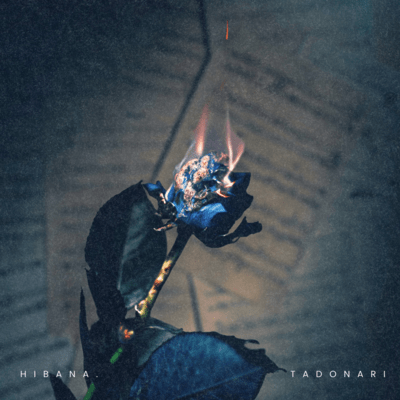 HIBANA.