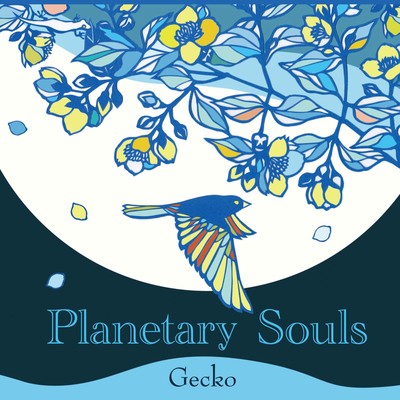 Planetary Souls