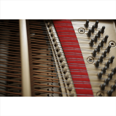 Fragments of Autumn Melancholy