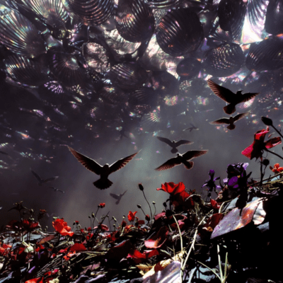 Decorate the carpe diem with flowers