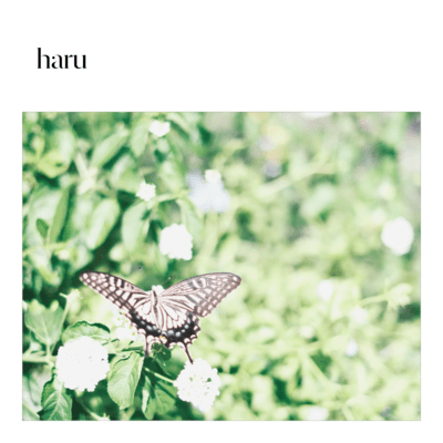 Haru (o to 1)