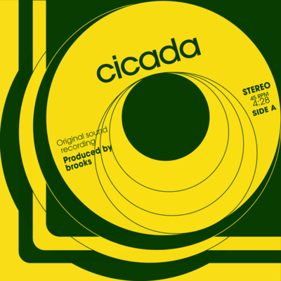 cicada